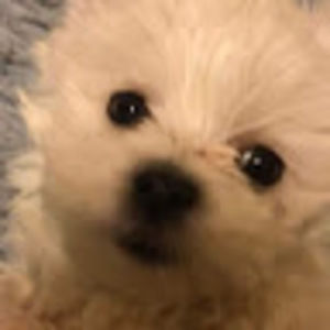 Meet your Posher, Fernanda